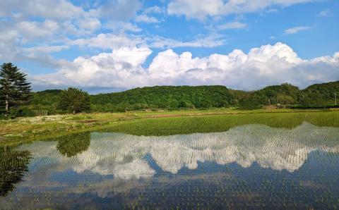【令和5年産】蘭越米 ゆめぴりか ・ ななつぼし 食べ比べ セット 各5kg