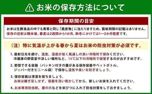 【令和7年産】 北海道 蘭越産 ななつぼし 10kg お米 米 コメ ごはん ご飯 飯 白ご飯 白米 常温 国産 北海道産 北海道 蘭越町