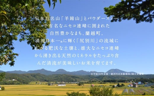 【5ヶ月定期便】らんこし米（ななつぼし）10kg