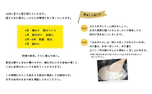【令和7年産】 蘭越産 ゆめぴりか玄米 10kg