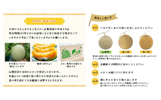 蘭越産 赤肉メロン 2玉 計 約 3kg 以上