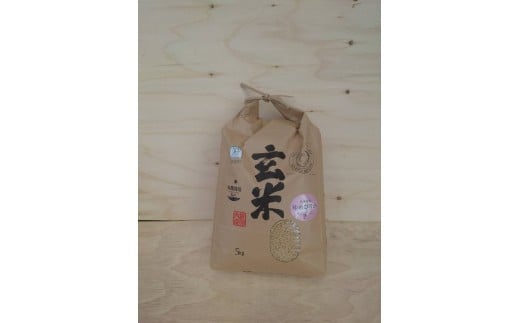 【令和7年産】有機JAS転換期間中有機農産物 らんこし産 玄米ゆめぴりか 5kg