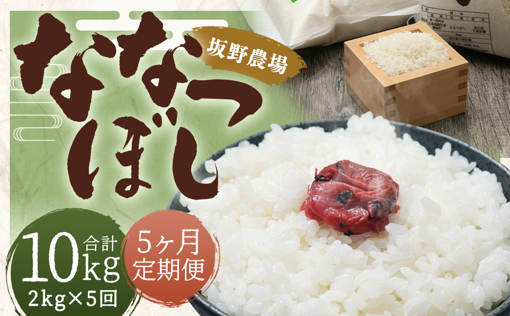 【5ヶ月定期便】令和5年産 らんこし米 ななつぼし 2kg