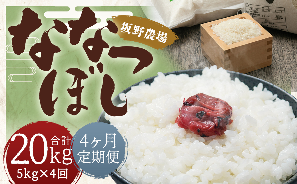 【4ヶ月定期便】令和5年産 らんこし米 ななつぼし 5kg