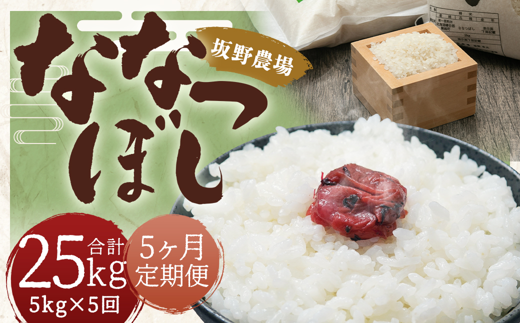 【5ヶ月定期便】令和5年産 らんこし米 ななつぼし 5kg