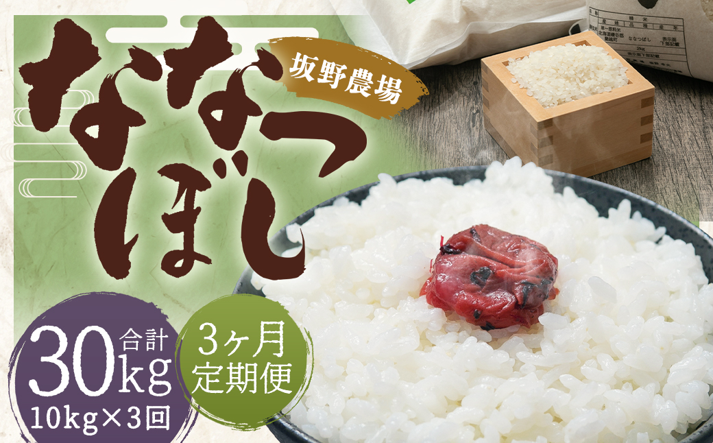 【3ヶ月定期便】令和5年産 らんこし米 ななつぼし 10kg(5kg×2袋)