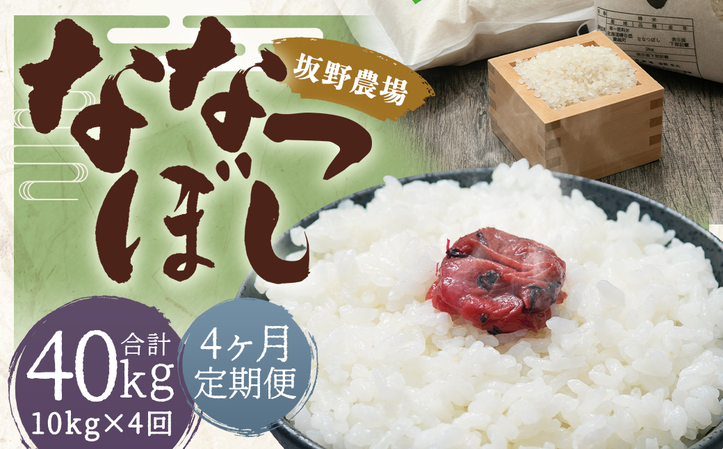 【4ヶ月定期便】令和5年産 らんこし米 ななつぼし 10kg(5kg×2袋)