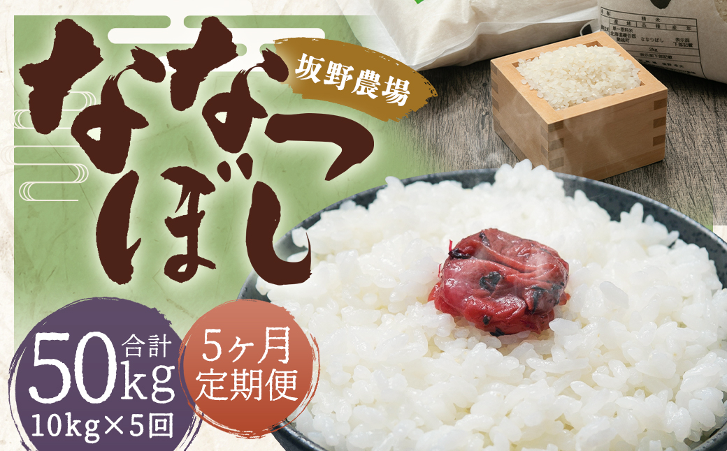 【5ヶ月定期便】令和5年産 らんこし米 ななつぼし 10kg(5kg×2袋)