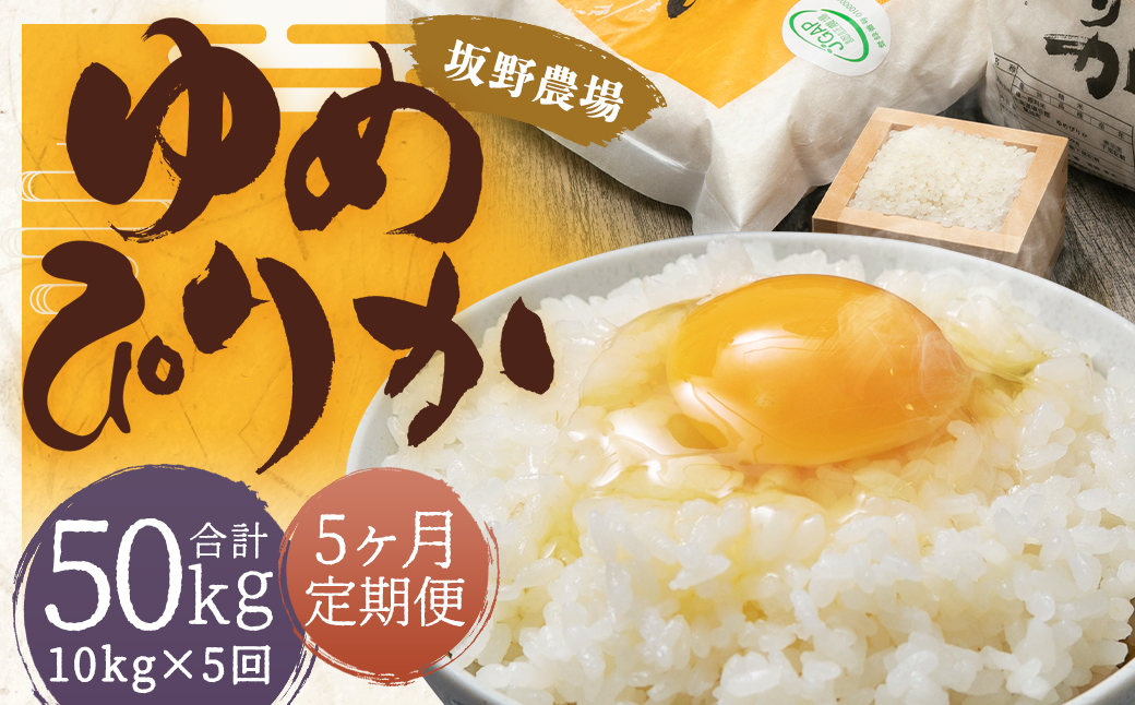 【5ヶ月定期便】令和5年産 らんこし米 ゆめぴりか 10kg(5kg×2袋)