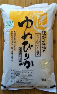 らんこし米（ゆめぴりか）　5㎏（坂野農場）