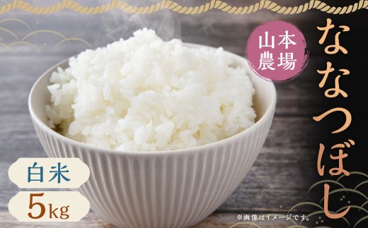 【令和7年産】蘭越産 ななつぼし 5kg×1袋