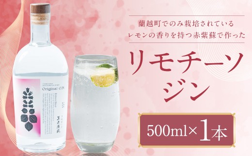 リモチーソジン 500mL