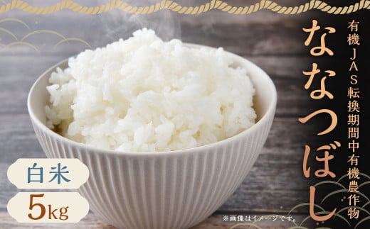 【令和7年産】有機JAS転換期間中有機農作物 らんこし産 ななつぼし 5kg