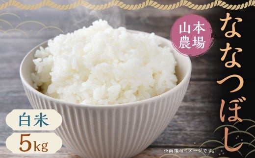 【令和7年産】蘭越産 ななつぼし 5kg×1袋