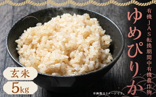 【令和7年産】有機JAS転換期間中有機農産物 らんこし産 玄米ゆめぴりか 5kg