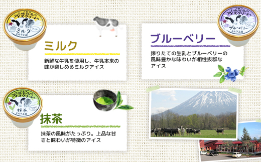【定期便：全3回】ニセコ高橋牧場ミルク工房 カップアイス3種20個セット【03130】