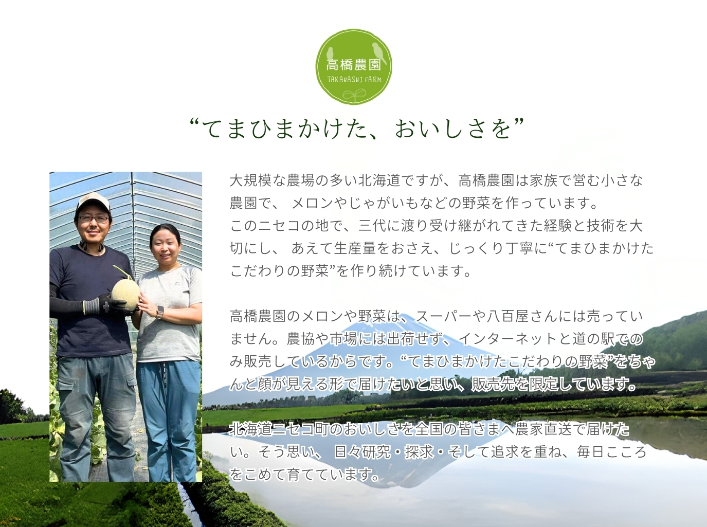 《2026年分受付中》甘くてほくほく!北海道ニセコ名産「キタアカリ」新じゃが10kg/高橋農園【3700501】