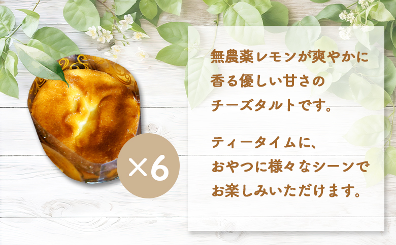 【ニセコ町】奥土農場の薪窯焼チーズタルト×6個セット【42013】