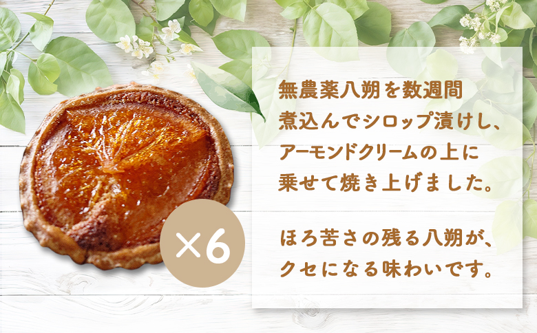 【ニセコ町】奥土農場の薪窯焼はっさくのタルト×6個セット【42016】