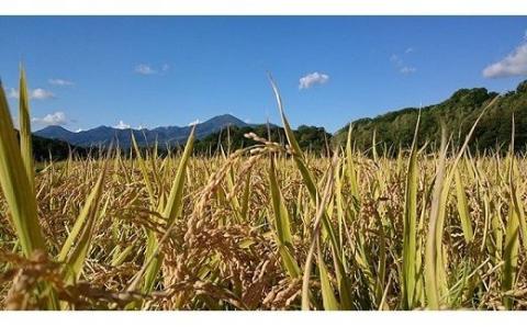 【令和5年産】【こだわりのピロール農法米！】ニセコ町産ゆめぴりか10kg【01087】