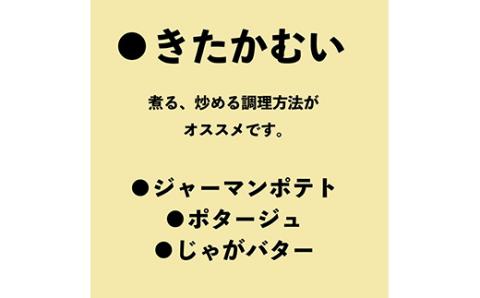 北海道ニセコ産！2023若山農産のきたかむい Sサイズ　10kg【26006】