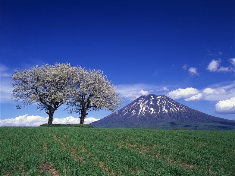 北海道ニセコ町ANAトラベルダイナミックパッケージ割引クーポン3,000点分