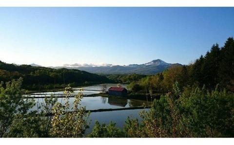 【令和5年産】【こだわりのピロール農法米！】ニセコ町産ゆめぴりか10kg【01087】