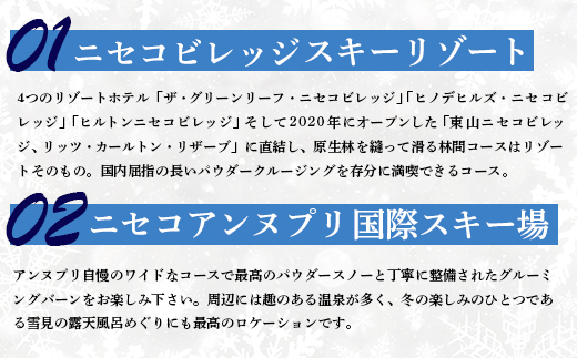 ニセコ全山共通リフト券（All Mt.Pass）1日券（10枚）ニセコアンヌプリ・ニセコビレッジ引換専用【3500502】