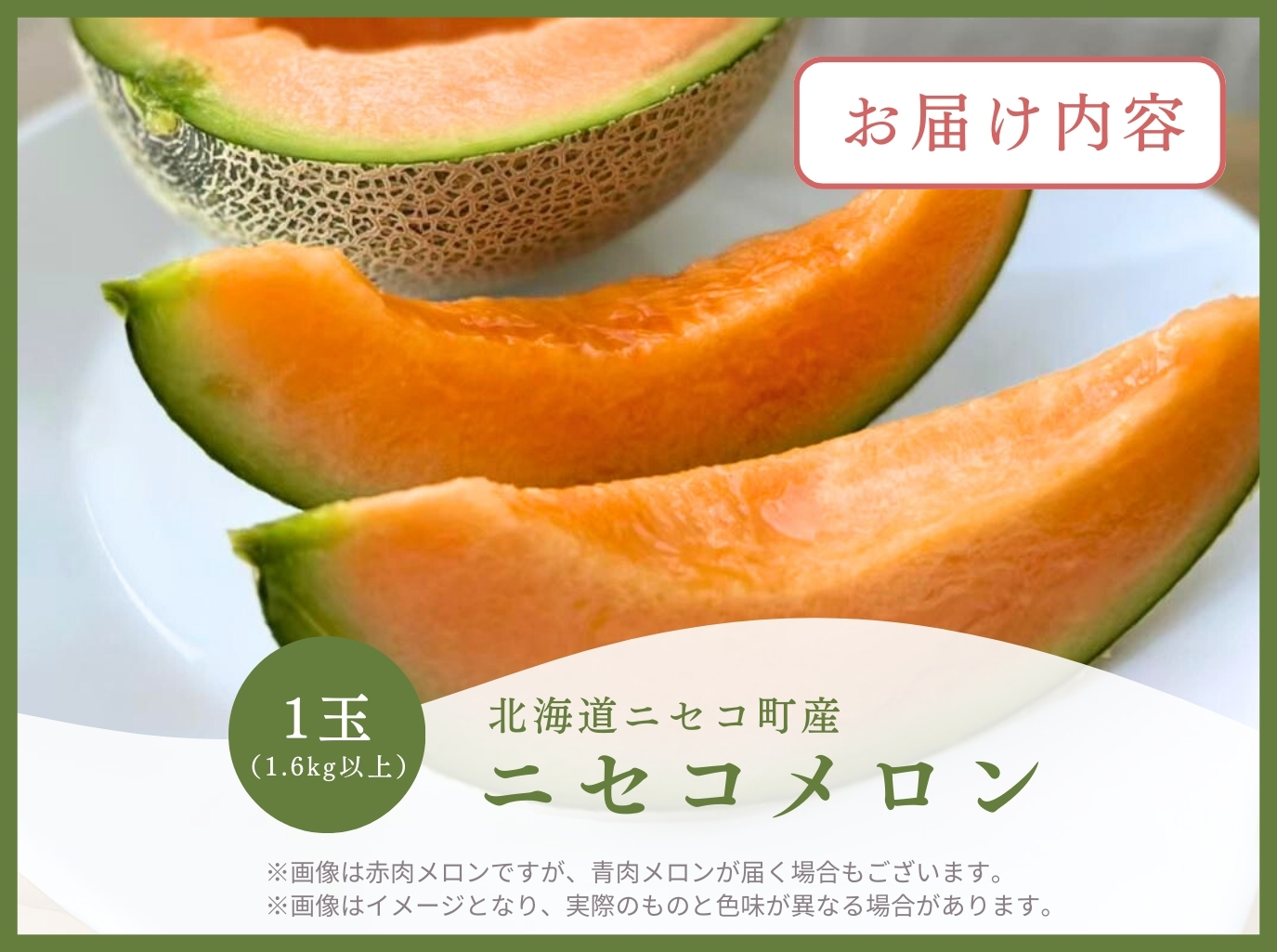 《2026年分受付中》糖度13度以上!市場には出回らない北海道ニセコメロン1玉（1.6kg以上）/高橋農園【3700101】