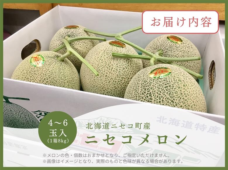 《2026年分受付中》糖度13度以上!市場には出回らない北海道ニセコメロン4～6玉（1箱8kg）/高橋農園【3700301】