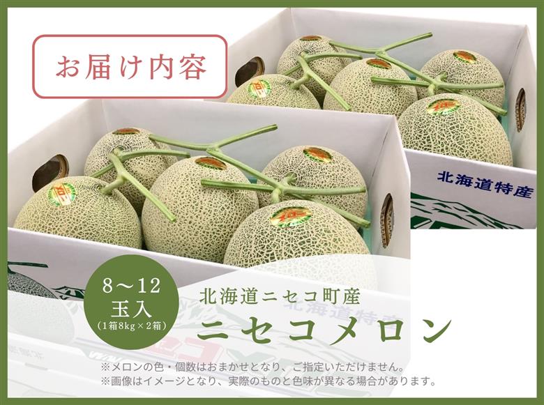 《2026年分受付中》糖度13度以上!市場には出回らない北海道ニセコメロン8～12玉（1箱8kg×2箱）/高橋農園【3700401】