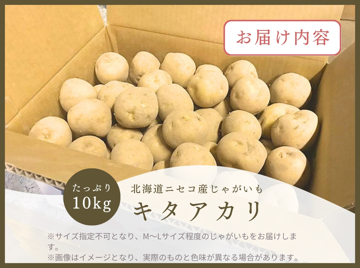 《2026年分受付中》甘くてほくほく!北海道ニセコ名産「キタアカリ」新じゃが10kg/高橋農園【3700501】