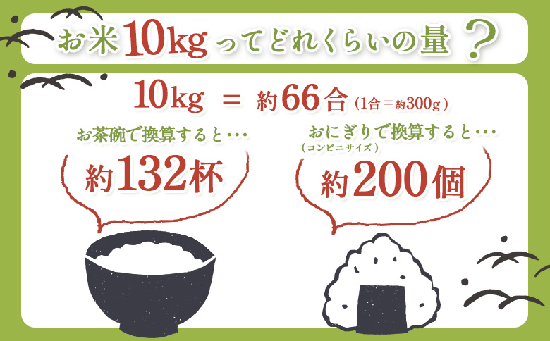 《数量限定受付！令和7年産米》【12回定期便】合鴨農法ななつぼし 【玄米】【有機肥料/無農薬・無化学肥料･備蓄用】 令和7年度米　10kg(1kg×10袋)　水田環境鑑定米・米食味鑑定米【Yesclean農法認定品】【31151】
