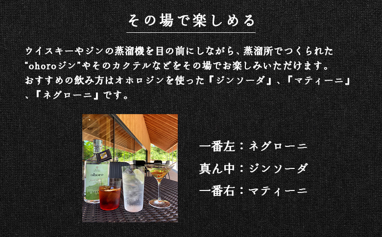 【数量限定！】北海道ニセコ町産　ohoro GIN Limited Edition ニホンハッカ 700ml【09150】