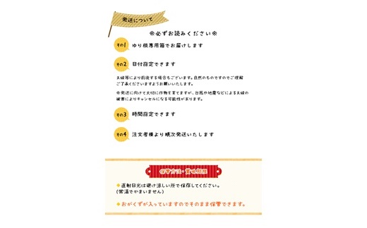 北海道ニセコ町 ゆり根M-L混みサイズ2kg【2025年産】【3200401】