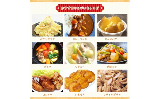 〈早期予約・数量限定〉北海道ニセコ町 訳ありじゃがいも男爵10kg【2026年産】【3201002】