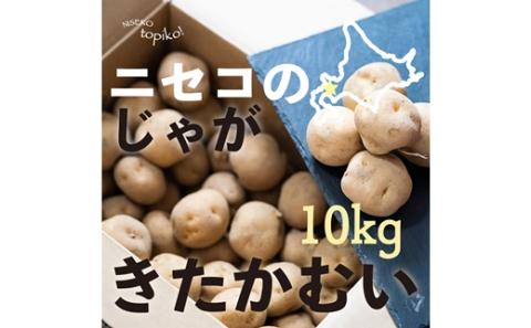 北海道ニセコ産！2023若山農産のきたかむい Sサイズ　10kg【26006】