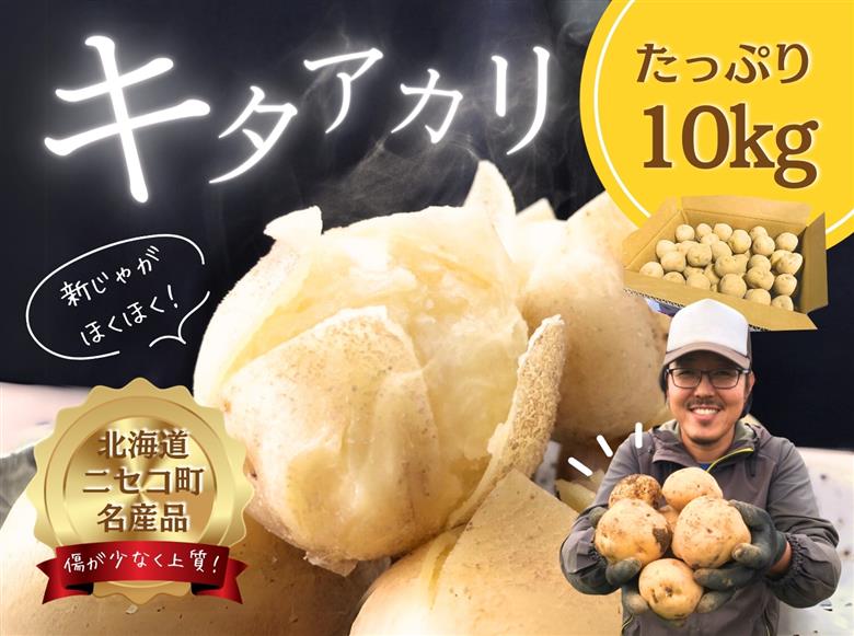 《2026年分受付中》甘くてほくほく!北海道ニセコ名産「キタアカリ」新じゃが10kg/高橋農園【3700501】