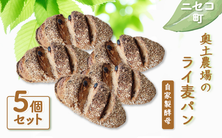 【ニセコ町】奥土農場のライ麦パン 5個セット（自家製酵母）【42007】