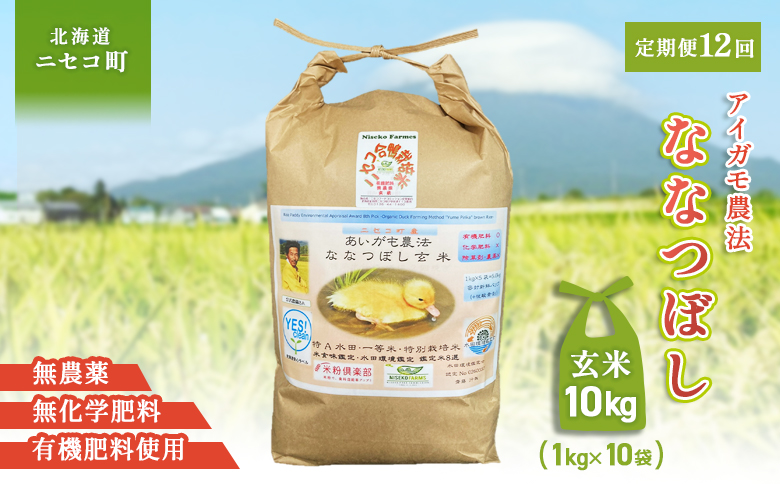 《数量限定受付！令和7年産米》【12回定期便】合鴨農法ななつぼし 【玄米】【有機肥料/無農薬・無化学肥料･備蓄用】 令和7年度米　10kg(1kg×10袋)　水田環境鑑定米・米食味鑑定米【Yesclean農法認定品】【31151】