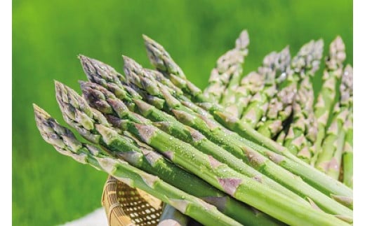 【2026年産】まっかり四季の恵み（ミニ）(アスパラ1kg、とうもろこし5kg、じゃがいも2種×5kg、ゆり根L1kg)【0117701】