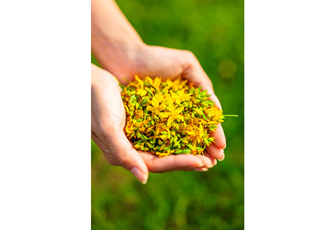 セントジョーンズ サポートオイル（ピュア） 65ml【01149】