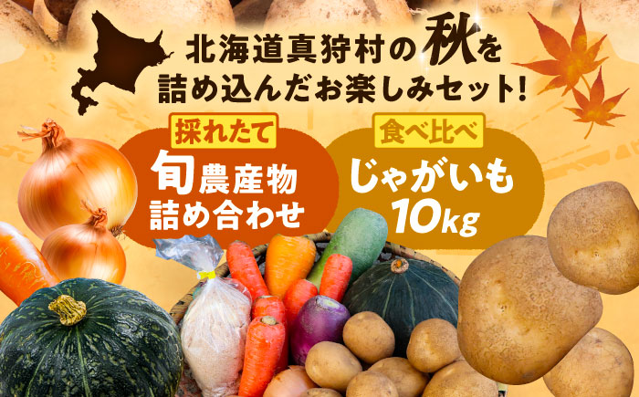 【2026年11月下旬以降発送】 秋の味覚セット（大）（じゃがいも10kg・旬の農産物詰め合わせ） | 野菜セット 野菜 じゃがいも 詰め合わせ 旬の野菜 セット 食べ比べ 北海道 | 道の駅 真狩フラワーセンター [BPAM004]