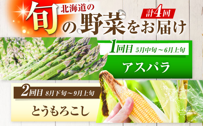 【2026年5月中旬以降順次発送】 【全4回定期便】 まっかり四季の恵みセット | 野菜セット 野菜 詰合せ アスパラ とうもろこし じゃがいも ゆり根 | 道の駅 真狩フラワーセンター [BPAM007]