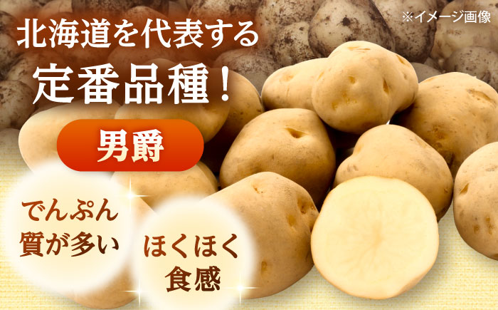 【2026年10月中旬以降順次発送】 じゃがいも 男爵（まっかりじゃが）5kg | じゃがいも ジャガイモ 男爵 野菜 北海道 産地直送 | 道の駅 真狩フラワーセンター [BPAM016]