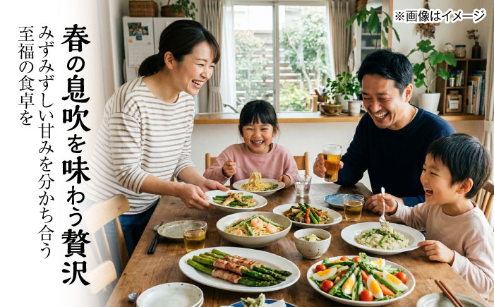 【2026年5月下旬以降順次発送】 グリーンアスパラ 2kg  |  アスパラ アスパラガス 野菜 やさい 北海道 産地直送 |  道の駅 真狩フラワーセンター [BPAM018]