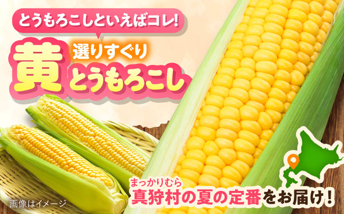 【2026年8月下旬以降順次発送】 とうもろこし（黄）5kg  |  とうもろこし とうきび トウモロコシ コーン 野菜 やさい 北海道 産地直送 |  道の駅 真狩フラワーセンター [BPAM020]