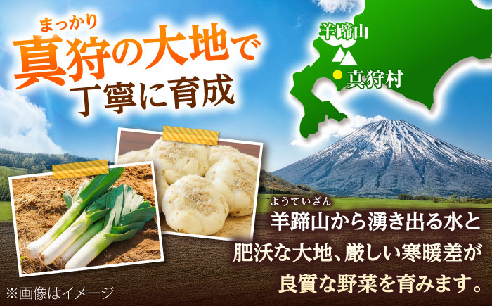 【2026年11月上旬以降順次発送】 ゆり根とリーキ  計3kg  |  ゆり根 リーキ 野菜 やさい 北海道 産地直送 |  道の駅 真狩フラワーセンター [BPAM022]