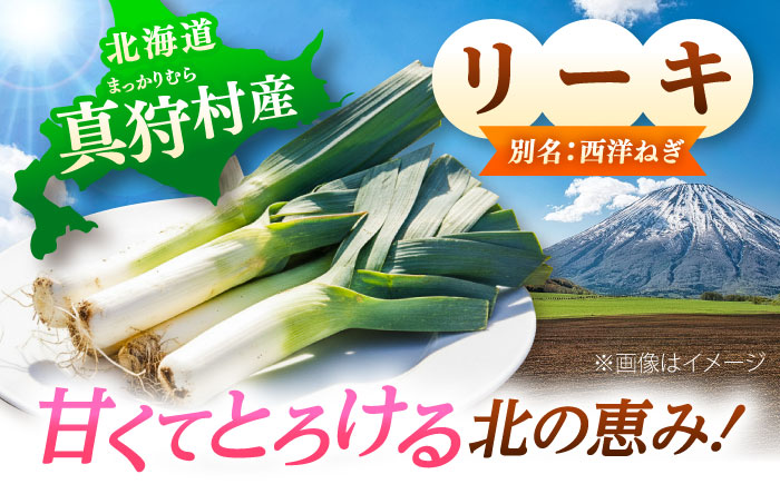 【2026年10月中旬以降順次発送】 リーキ 3kg | 野菜 ネギ ねぎ ポロネギ 西洋ねぎ リーキ | 道の駅 真狩フラワーセンター [BPAM045]