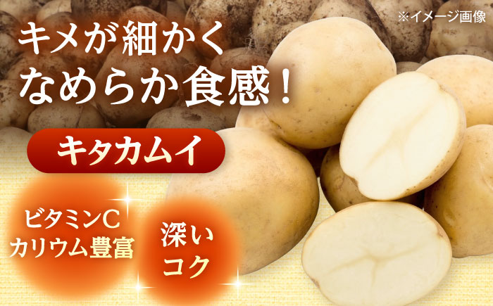 【2026年11月上旬以降順次発送】 じゃがいも キタカムイ（まっかりじゃが）5kg | 野菜 じゃがいも ジャガイモ キタカムイ 北海道 産地直送 | 道の駅 真狩フラワーセンター [BPAM048]